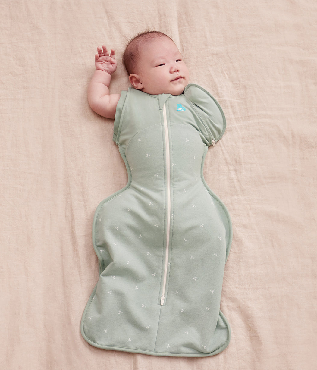 Swaddle Up™ Gigoteuse d’emmaillotage de transition 1,5 TOG Coton Rameaux d’Olivier