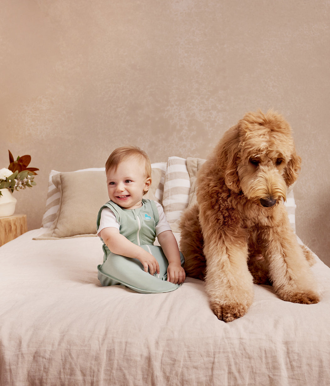 Swaddle Up™ Gigoteuse d’emmaillotage de transition 0.2 TOG Coton Vert